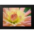 thumbnail image 2 of Foschino, Suzanne 24x17 Black Modern Framed Museum Art Print Titled - Yellow Orange Dahlia 6, 2 of 5