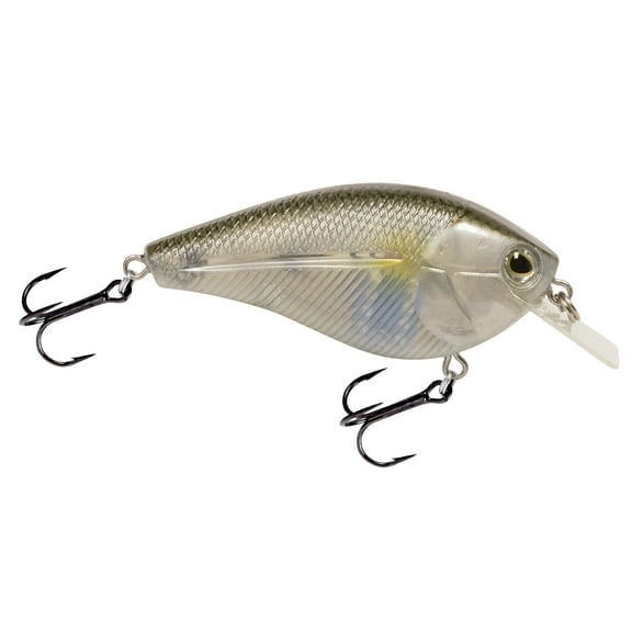 Livingston Lures Primetyme¹ SQ 2.0-AYU