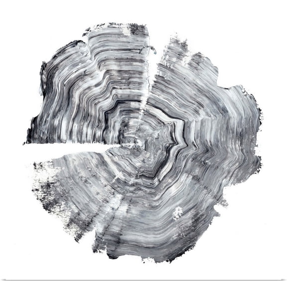 Great BIG Canvas | Rolled Ethan Harper Poster Print entitled Tree Ring Abstract IV