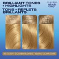 thumbnail image 2 of Coloration permanente Clairol Nice'n Easy, 2 of 9