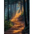 thumbnail image 1 of Qisvanset Framed Canvas Wall Art 12x16 Inch Sunlit Misty Forest Path Tranquil Nature Decor, 1 of 5