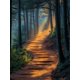 thumbnail image 1 of Qisvanset Framed Canvas Wall Art 12x16 Inch Sunlit Misty Forest Path Tranquil Nature Decor, 1 of 5