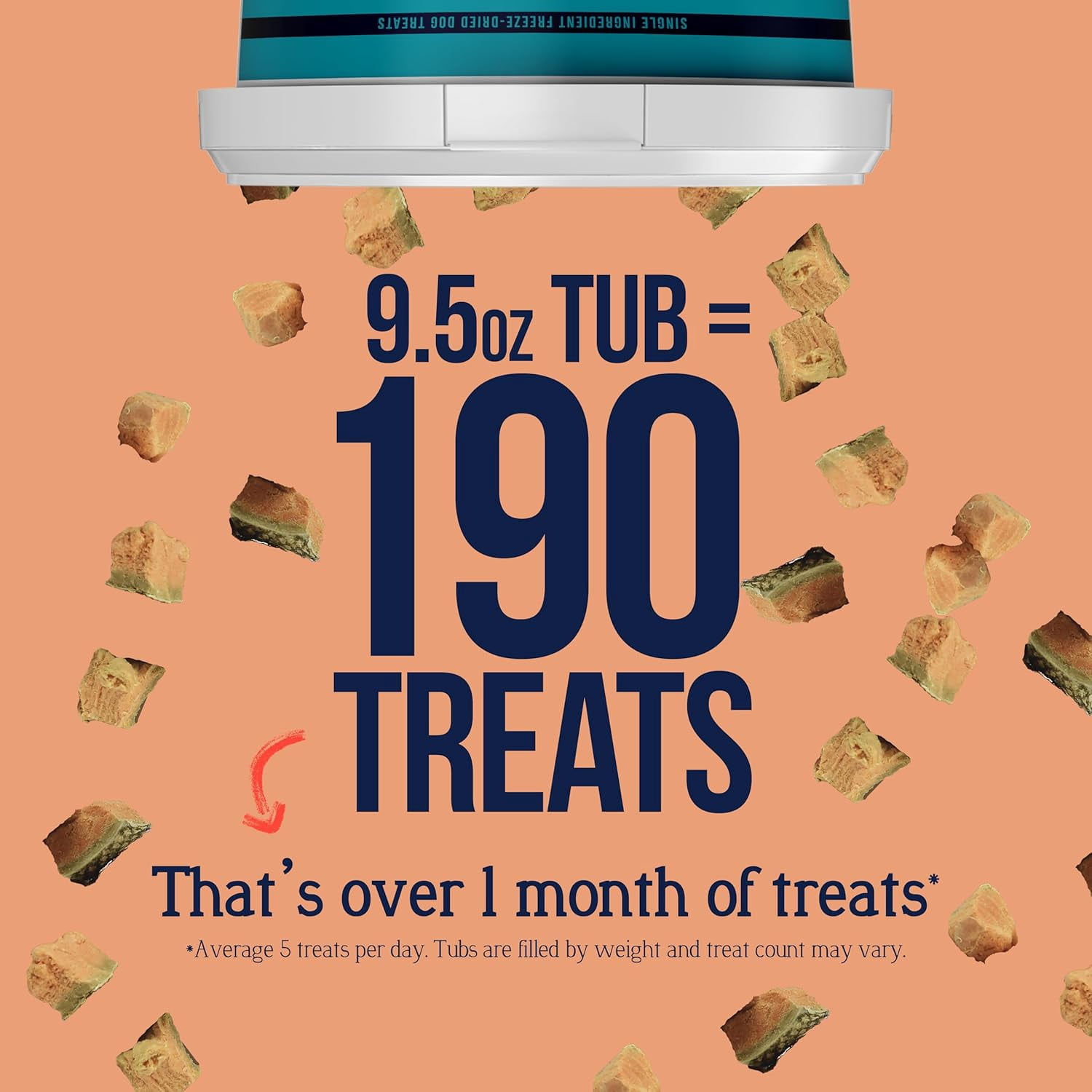 Stewart Freeze Dried Salmon Dog Treats, 9.5 oz Tub