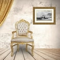 thumbnail image 3 of The Yellowstone Collection 14x11 Gold Ornate Wood Framed with Double Matting Museum Art Print Titled - Quadrant Mountain in the distance, Bannock Peak, Yellowstone National Park, 3 of 4