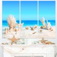 thumbnail image 1 of Design Art - Seashells on Tropical Beach, 1 of 2