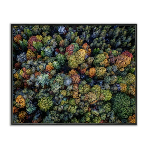 Stupell Industries Aerial View Autumnal Foliage Landscape & Nature Photography Black Framed Art Print Wall Art, 14 x 11