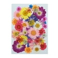 thumbnail image 1 of karymi Real Dried Presse Flowers Leaves Natural Set with Stickers Wal&mart Deals, 1 of 1
