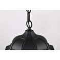 thumbnail image 4 of Nuvo Lighting East River Outdoor Hanging Light Matte Black Finish Clear Water Glass, 4 of 7