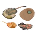 thumbnail image 4 of 2x de de Cangrejo de , Modelo , Juguete Conoscitivo Educativo Yotijar Juego de crecimiento de insectos para niños, 4 of 10