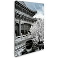 thumbnail image 2 of Trademark Fine Art "White Temple X" Canvas Art by Philippe Hugonnard, 2 of 3