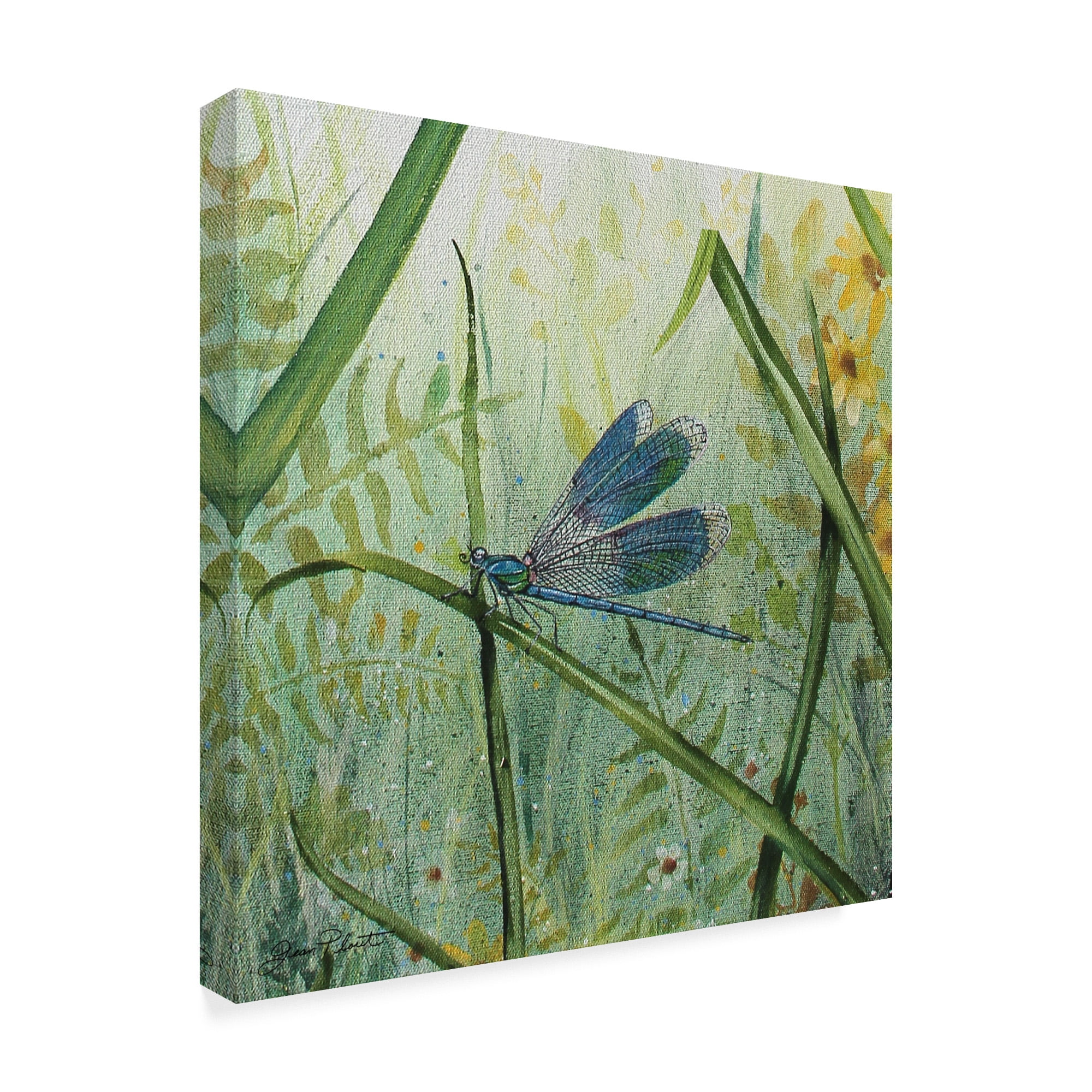 Trademark Fine Art 'Botanical Beauties 1' Canvas Art by Jean Plout