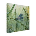 thumbnail image 2 of Trademark Fine Art 'Botanical Beauties 1' Canvas Art by Jean Plout, 2 of 3