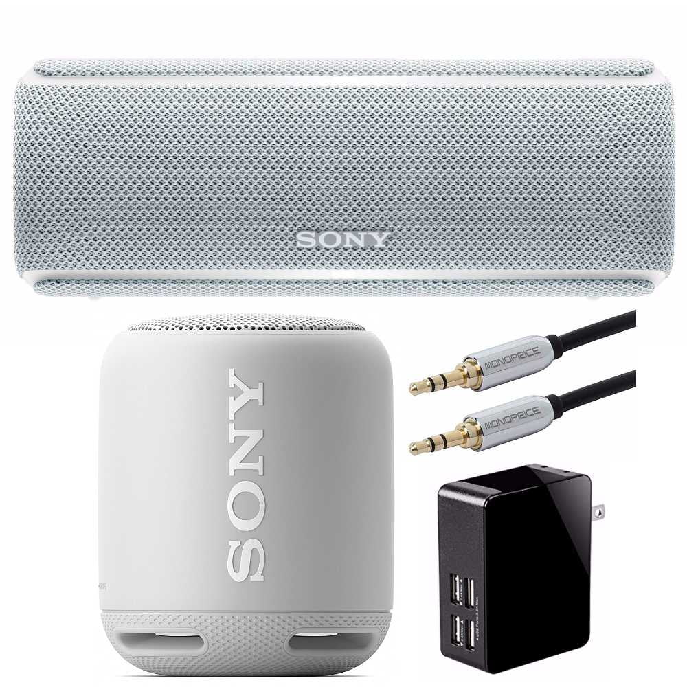 sony srs xb10 dual
