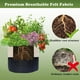 thumbnail image 5 of Breathable Non Woven Fabric Grow Bag with Handles | Heavy Duty Aeration Plant Pot for Vegetables & Herbs | Reusable Nursery Container | Khaki | 35x28cm | 1 Pack | Large Gardening Planter, 5 of 6