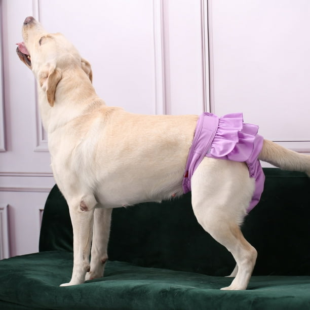 HEVIRGO Puppy Diaper Breathable Health Care Menstruation Pants Dog Briefs Pet Physiological Pants for Female Dogs Blue S