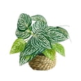 thumbnail image 2 of Doghiosgha Artificial Potted Plants with Woven Basket, Faux Leaf Greenery Potted for Office Desk Bedroom Bathroom Shelf Decor, 5.9 Inch, A, 2 of 6