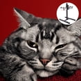thumbnail image 1 of unbranded 1Jgo Comedero Elevado Para Perros Con Tazones Profundos De Metal Y Soporte Estable, 1 of 8