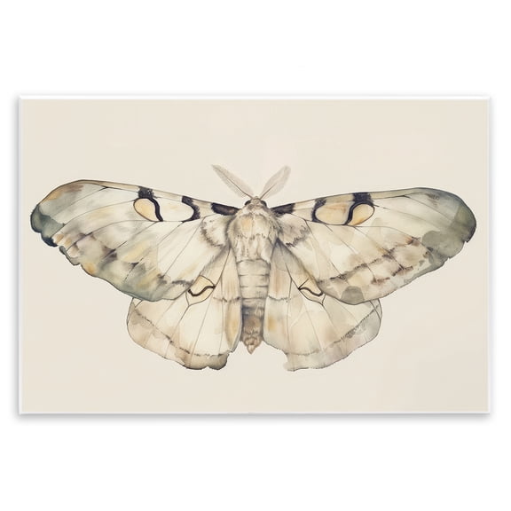 Stupell Industries Traditional Wall Plaque Art, 15 x 10, by Petals Prints Design
