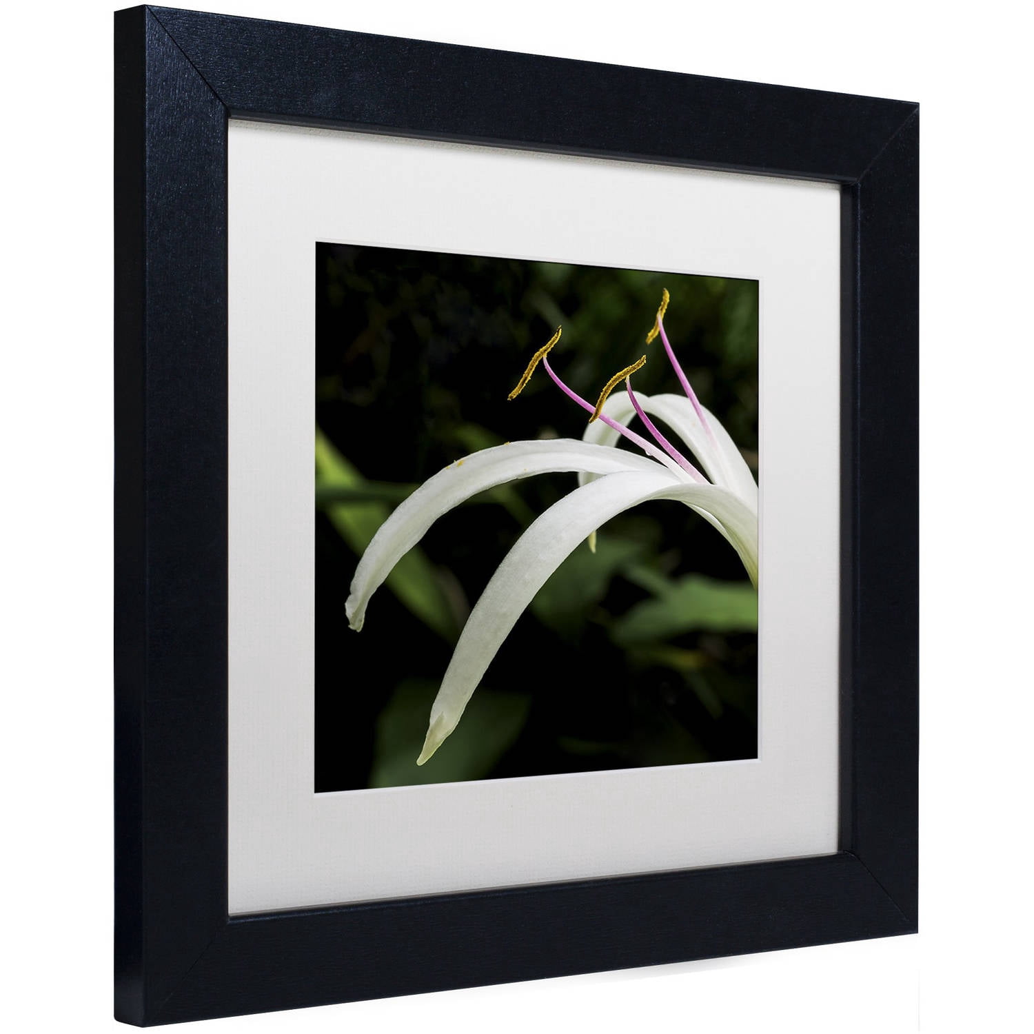 Trademark Fine Art "Graceful Lily" Canvas Art by Kurt Shaffer, White Matte, Black Frame