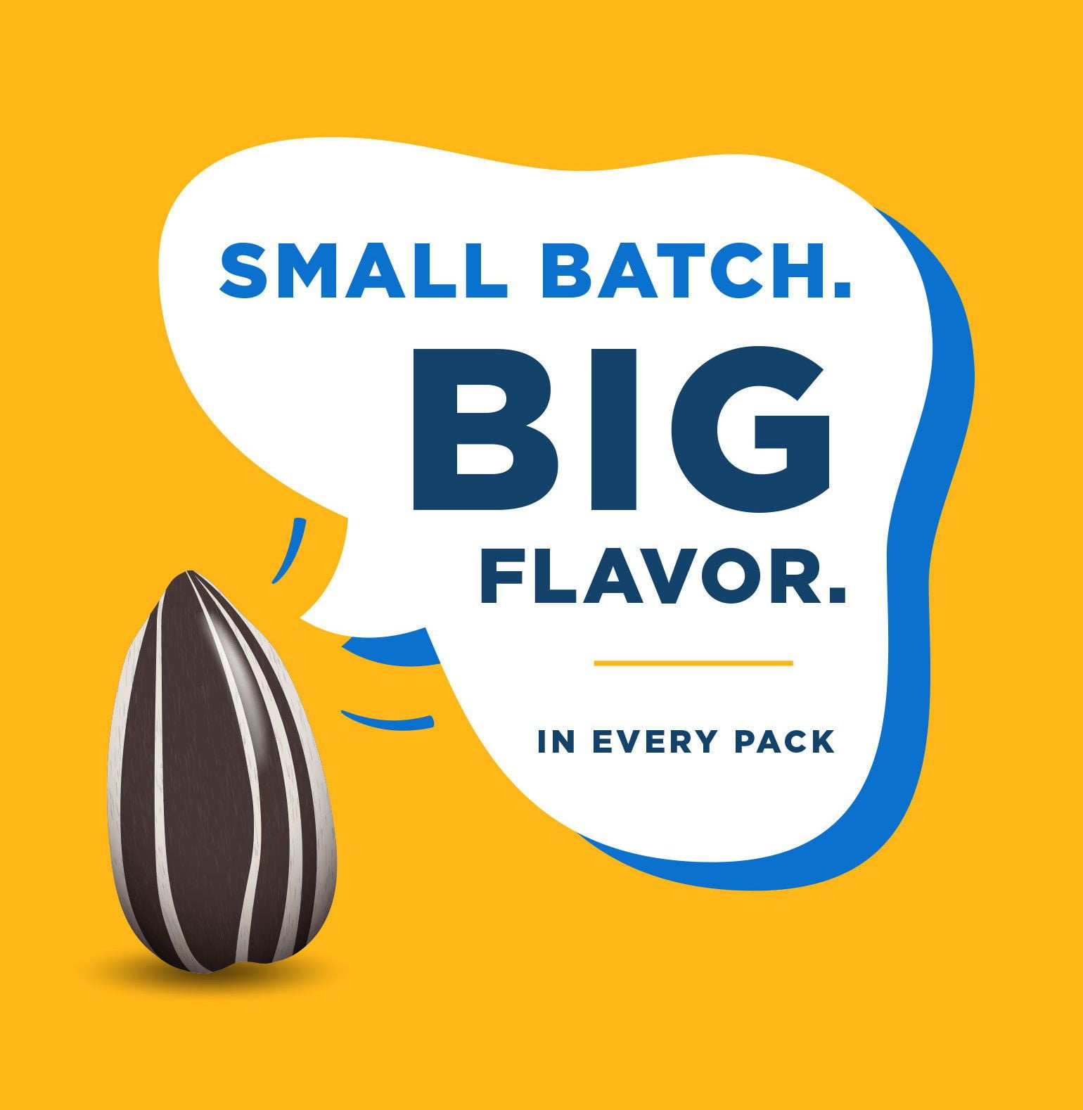 Chinook Seedery Gluten-Free Roasted Jumbo Sunflower Seeds - 4oz (Pack of 12) - Original Flavor