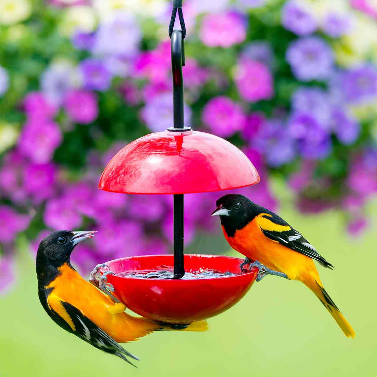 Mosaic Birds Double Hanging Poppy Feeder