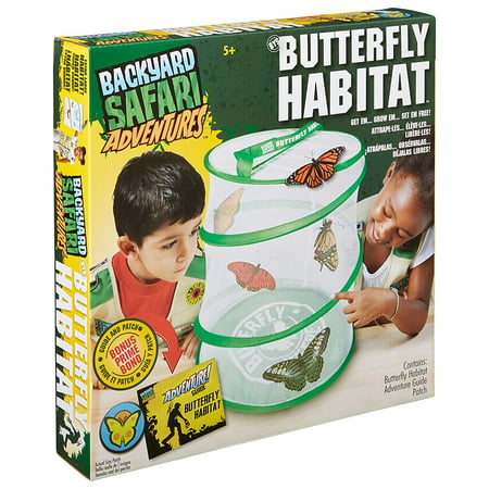 Butterfly Habitat, Get ‘em, grow ‘em, set ‘em free By...