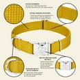 thumbnail image 4 of Country Brook Petz® Premium Nylon Dog Collar with Metal Buckle for Small Medium Large Breeds (Medium, 3/4 Inch, Gold), 4 of 4