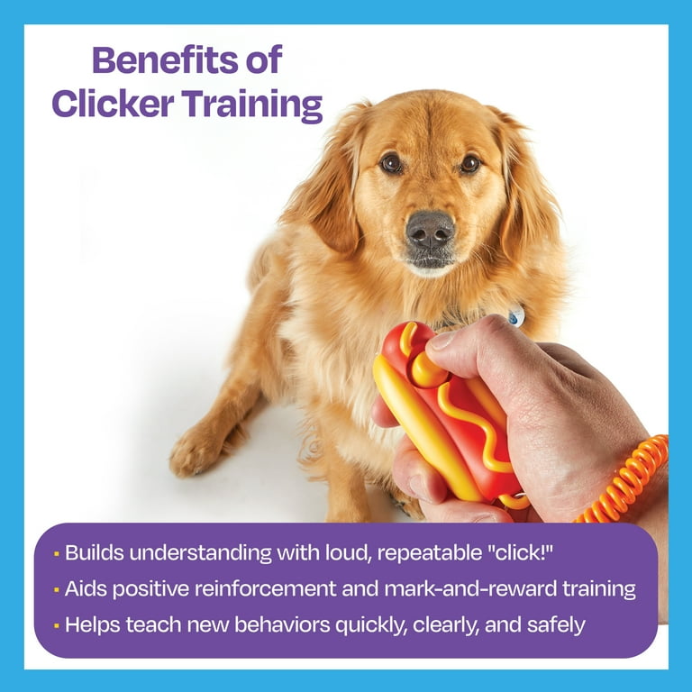 Brightkins Smarty Pooch Training Clicker with Wrist Strap Hot Dog