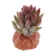 thumbnail image 5 of Plantas para acuarios, decoración de reptiles - Terrario de reptiles F, 5 of 8