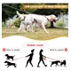 thumbnail image 4 of Cadena Metálica Pettom Heavy Duty De 2 Vías Para Perros, Dob, 4 of 8