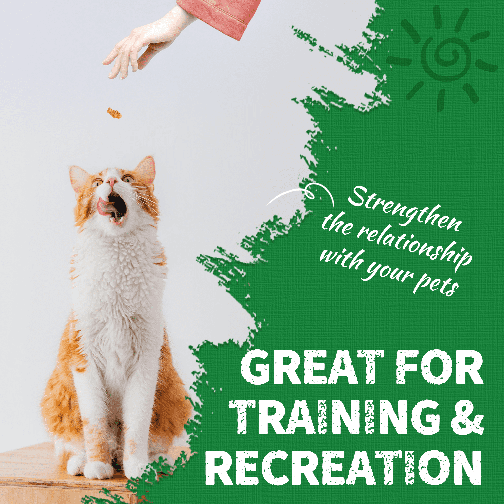 Just Try Cat Grass Treats, Natural Salmon Flavor, Healthy Cat Training Biscuits, Catnip, for Dental and Hairball Control, 13.4 oz
