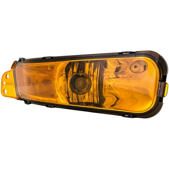 Dorman 1650825 Passenger Side Side Marker Light Assembly for Specific Ford Models