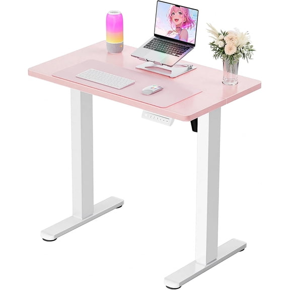 Height Adjustable Electric Standing Desk, 32 x 19 Inches Sit Stand Desk, Memory Function, Home Office Desk