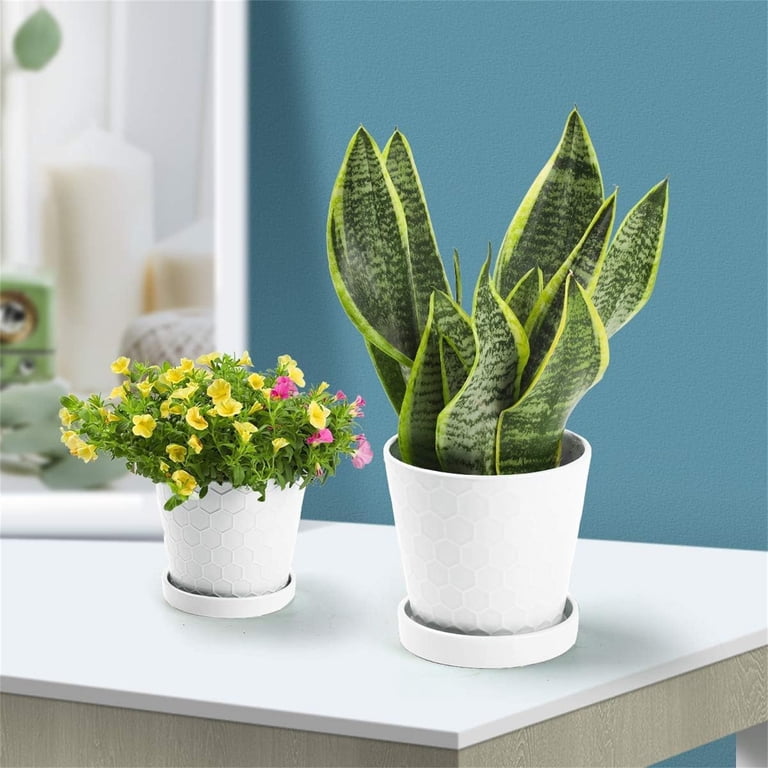 Modern Ceramic Planter Set, 3-Piece with Drainage photo 7