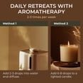 thumbnail image 4 of Gya Labs Eucalyptus Essential Oil with Aromatherapy Stone - Pure Australian Fresh Scent for Diffuser, Skincare, Hair Care & DIY - 4 fl oz, 4 of 6