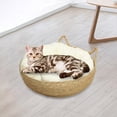 thumbnail image 1 of Cesta para cama de gato, alfombrilla para rascar gatos, colchón de verano duradero, perrera, suministros para mascotas, casa redonda, cama para dormir 45cmx15cm, 1 of 8