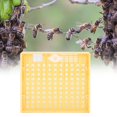 thumbnail image 2 of Kit de copas de cría de apicultura, jaulas para abejas reina, equipo para apicultor (121 uds), 2 of 8