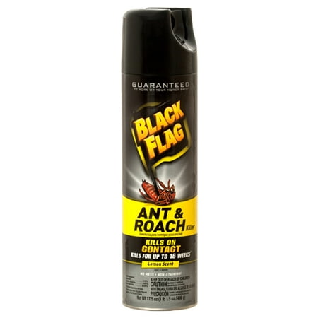 New 349919  Black Flag Ant  Roach Lemon Scent 17.5 Oz (12-Pack) Trap And Pesticide Cheap Wholesale Discount Bulk Cleaning Trap And Pesticide