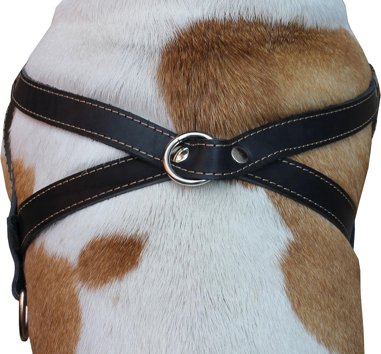 High Quality Genuine Black Leather Dog Pulling Walking Harness Large. 31"-35" Chest, 1.5" Wide Straps