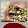 thumbnail image 1 of Wallhogs Batie Frog Poster Wall Mural, 1 of 2
