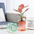 thumbnail image 4 of Transparent Double Layer Plastic Flower Pot Self Watering Flowerpot With Rope, 4 of 4