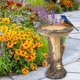 thumbnail image 2 of Comedero para pájaros, comedero para pájaros de jardín, herramienta para beber de resina natural, artesanía decorativa, comedero para pájaros, 2 of 5