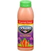 Juice Carrot 15.2 Oz Odwalla