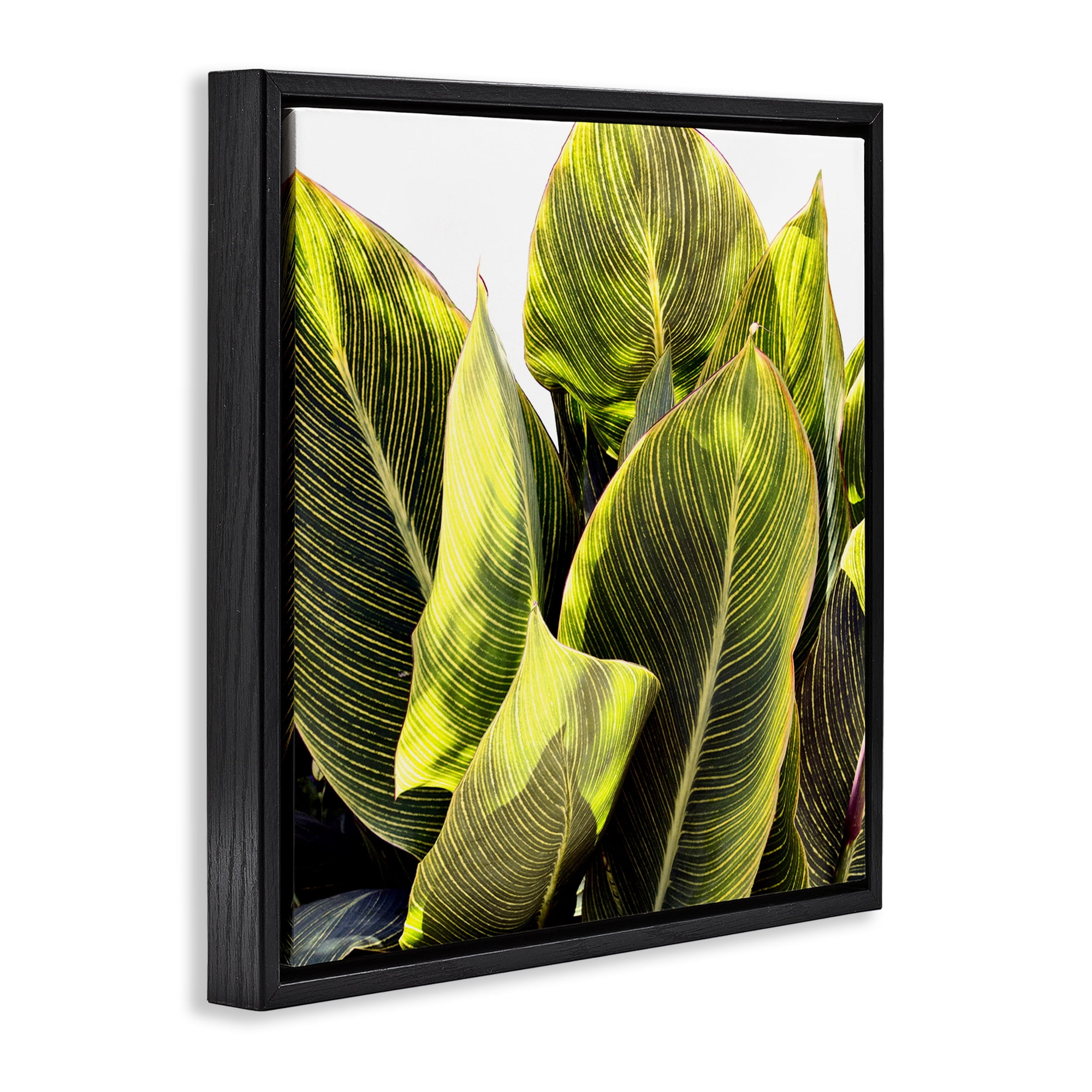 Stupell Industries Bright Tropical Leaves Botanical & Floral Painting Black Floater Framed Art Print Wall Art, 18 x 18