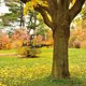 thumbnail image 3 of Acero Árbol Rama Elfo Decoración Ahuecado Acero Jardín Estatua Acero Silueta Arte Enano Decoración Rama Adornos Para El Hogar Jardín Patio Patio Decoración Al Aire Libre 2021 Pascua Scienceny HA043050-01, 3 of 6