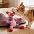 thumbnail image 6 of Lilixerw Dog Chew Toy,Squeaky Plush Toys for Chewers,Interactive Play for Teeth Cleaning,Small to Medium Dogs,Reinforced Stitching,Tear-Resistant,1 Count, 6 of 8