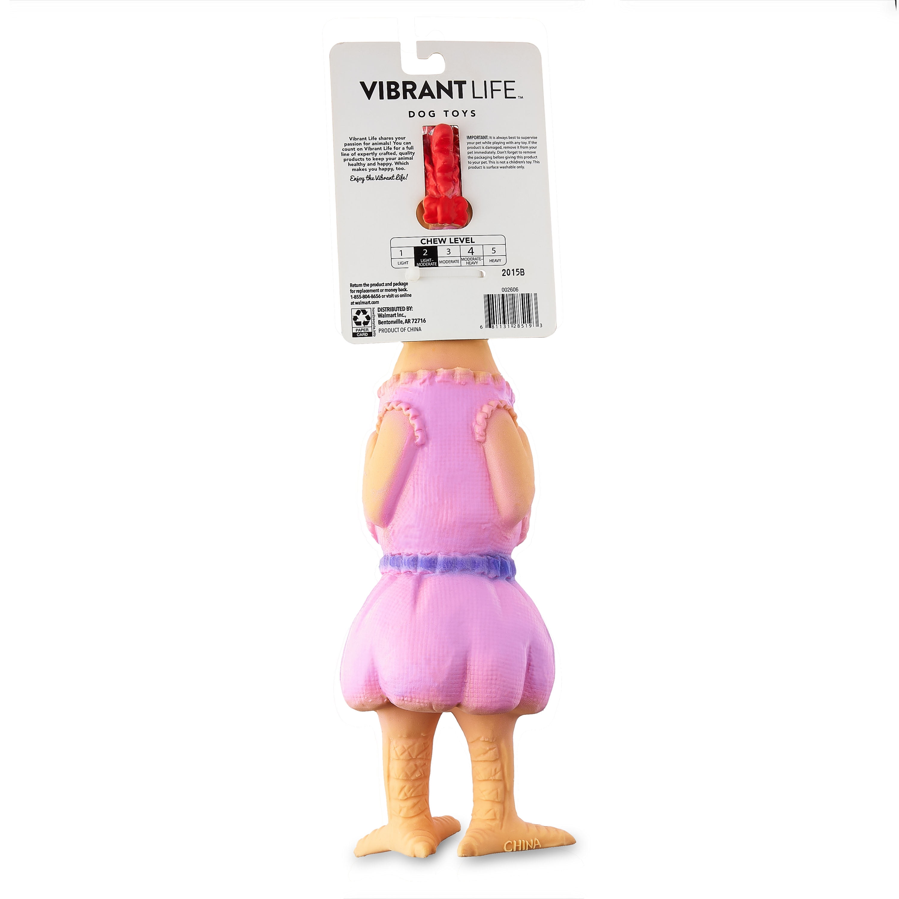 Vibrant Life - Brandclub - Vibrant Life Playful Buddy Dog Toy