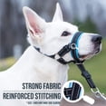 thumbnail image 4 of GoodBoy Dog Head Halter con correa de seguridad - Topes, 4 of 5