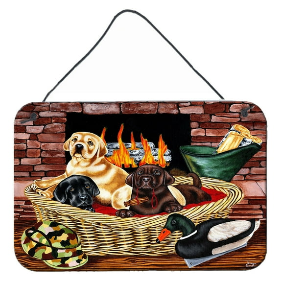 Carolines Treasures AMB1362DS812 The Next Generation Labrador Wall or Door Hanging Prints  8x12 multicolor