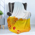 thumbnail image 4 of Mushroom Soft Flannel Fleece Blanket, Fall Season Rural Landscape Wide Meadow on Sunny Day Farm Themed Nature Print, Cozy Plush for Indoor and Outdoor Use, 50" x 60", Orange Blue Red, by Ambesonne, 4 of 5